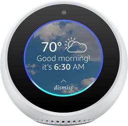 Amazon Echo Spot 2.5" Smart Display with Alexa ricondizionato - Reebelo Italia