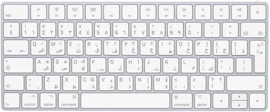 Apple MLA22AB/A Magic Keyboard Arabic Spec ricondizionato - Reebelo Italia
