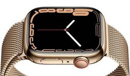 Apple Watch Series 7 ricondizionato - Reebelo Italia