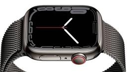 Apple Watch Series 7 ricondizionato - Reebelo Italia