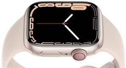 Apple Watch Series 7 ricondizionato - Reebelo Italia