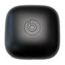 Beats by Dr. Dre Powerbeats Pro Wireless Case Only