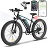 Gyrocopters Zeil Mountain E-Bike