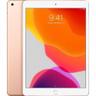 iPad 10.2-inch (2019) 7th Gen - 32GB - WiFi - Oro