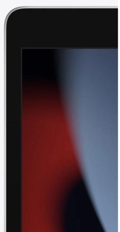 iPad 10.2 pollici (2021) 9ª generazione ricondizionato - Reebelo Italia