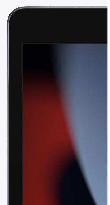 iPad 10.2 pollici (2021) 9ª generazione ricondizionato - Reebelo Italia
