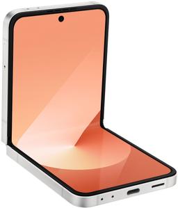 Galaxy Z Flip6 ricondizionato - Reebelo Italia