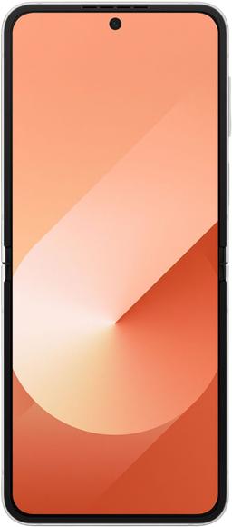 Galaxy Z Flip6 ricondizionato - Reebelo Italia