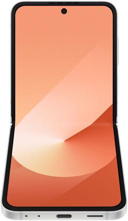 Galaxy Z Flip6 ricondizionato - Reebelo Italia